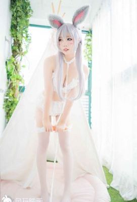漫长归途