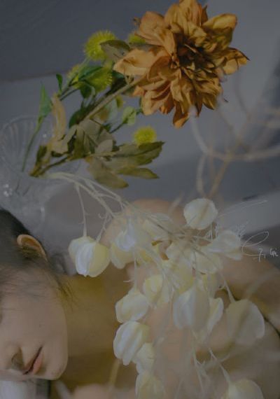 女老师3在线观看